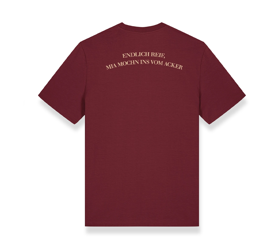 winklhof shirt 2024 3 Winklhof 24
